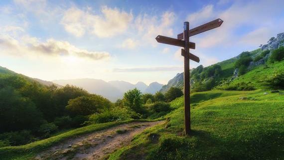 5 exemples de parcours professionnels après Excelia Business School